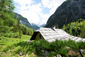 Wild flower cottage in Trenta